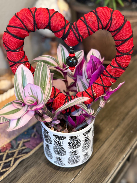 Heart Premium Sphagnum Moss Grow Pole for Indoor House Plants