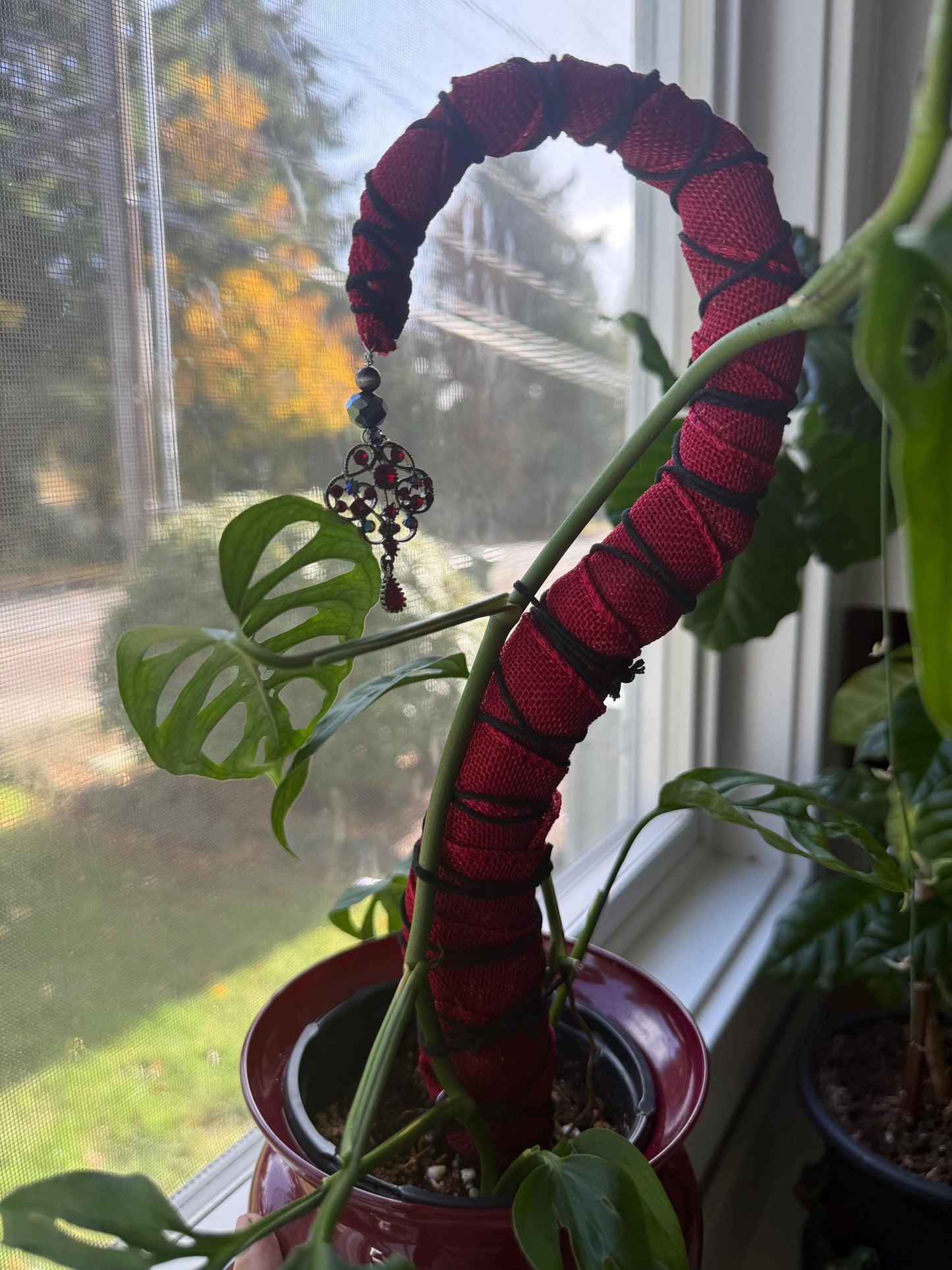 Tentacle Premium Sphagnum Moss Grow Pole for Indoor House Plants