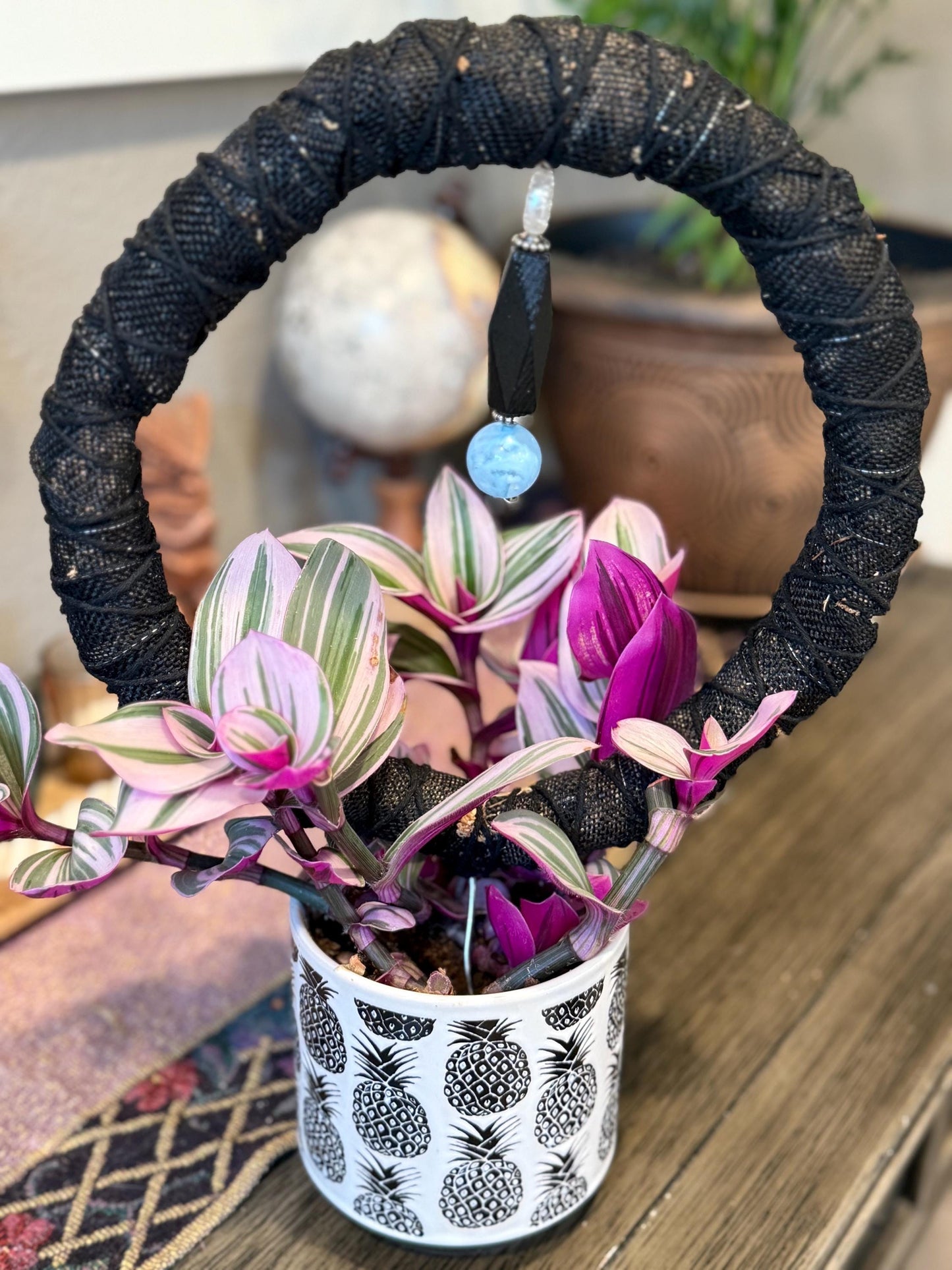 Circle Premium Sphagnum Moss Grow Pole for Indoor House Plants