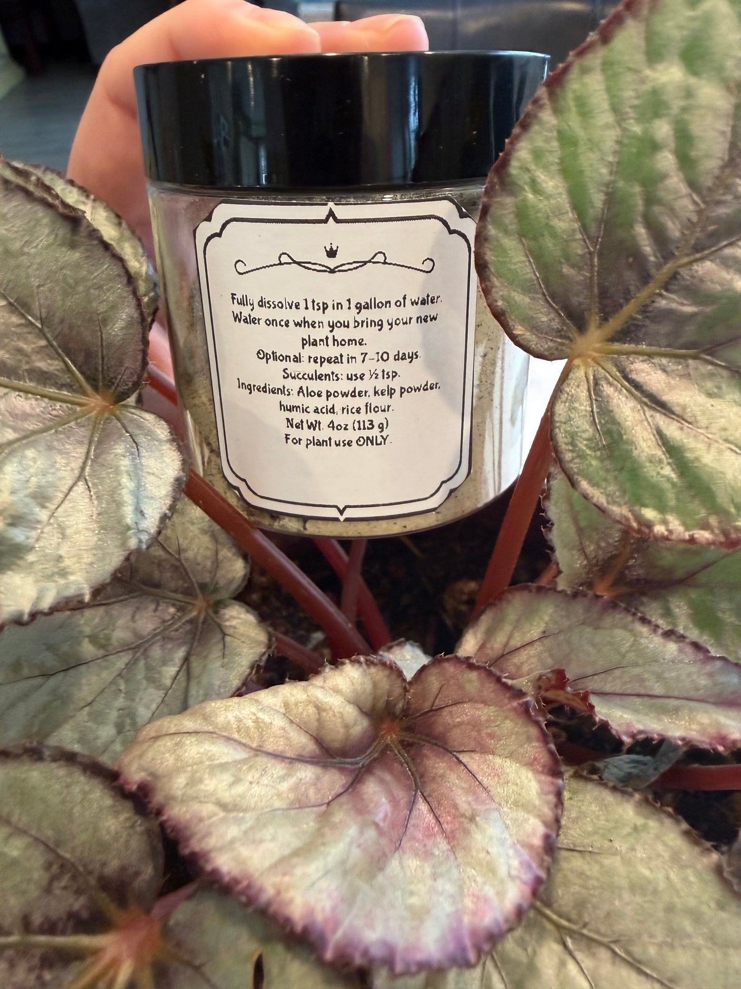 Plant Babe Homecoming Tonic