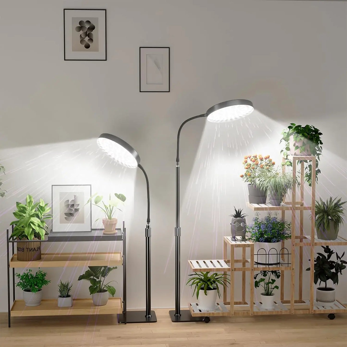 Grow Lights for Plants Full Spectrum Floor Plant Growing Lamp Large Plants Auto ON/Off Timer 5 Dimmable Levels  Adjustable Heigt