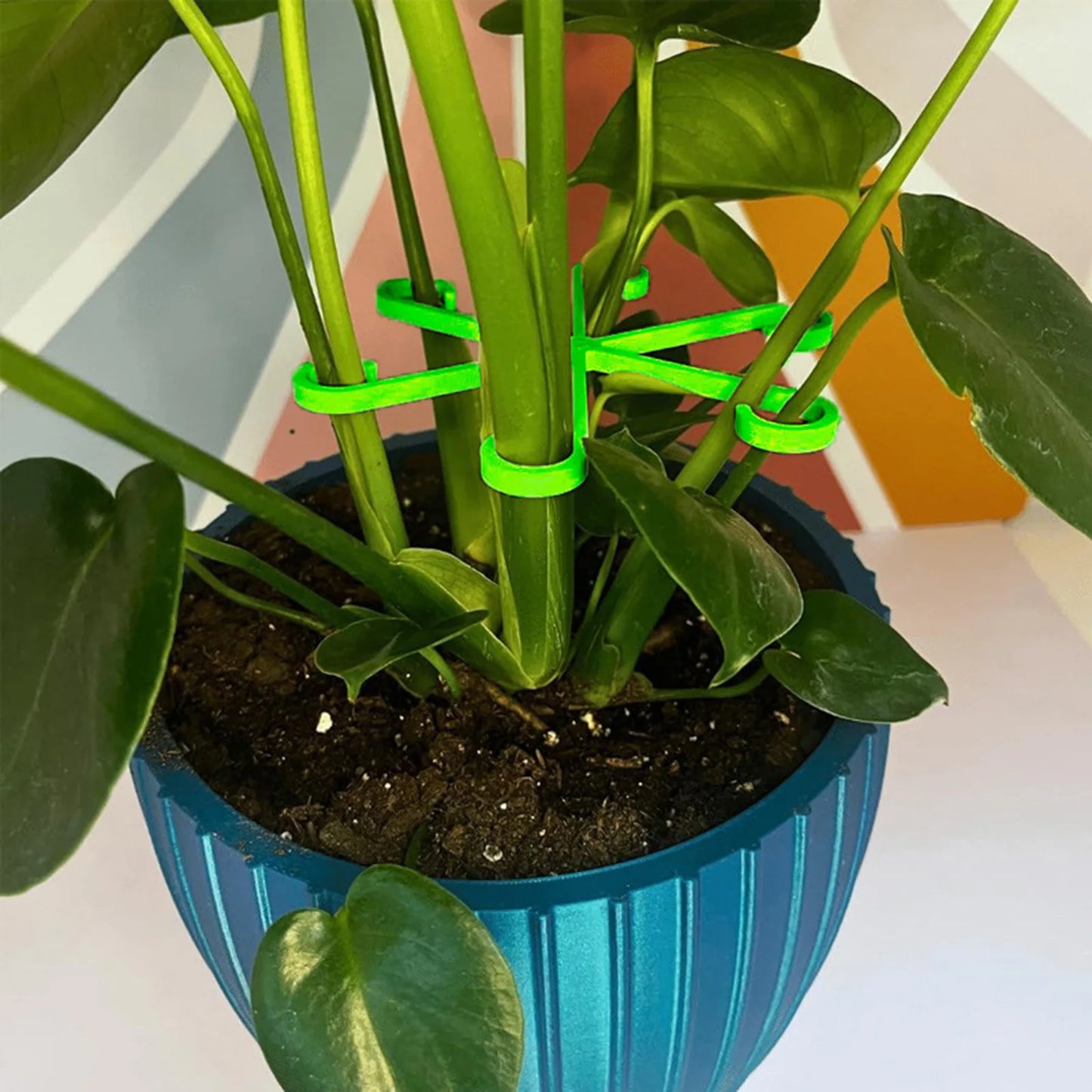 4Pcs Plants Stem Support Black/Red/Green Plastic Trellis Easy Installation Vine Plants Trellis for Indoor and Outdoor Plants