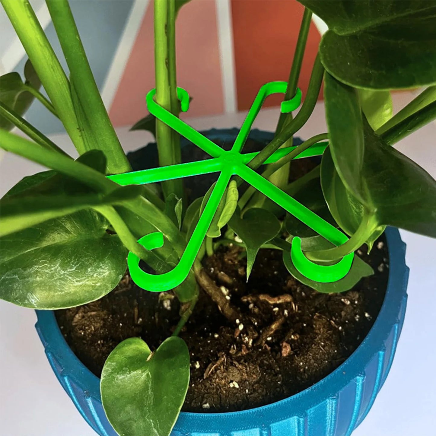 4Pcs Plants Stem Support Black/Red/Green Plastic Trellis Easy Installation Vine Plants Trellis for Indoor and Outdoor Plants