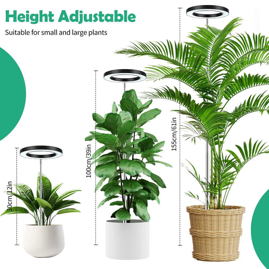 Plant grow Light, Height Adjustable with Auto On/Off Timer 3H/9H/12H, 10Dimmable Brightness, Ideal for Home Desk Plant Lighting