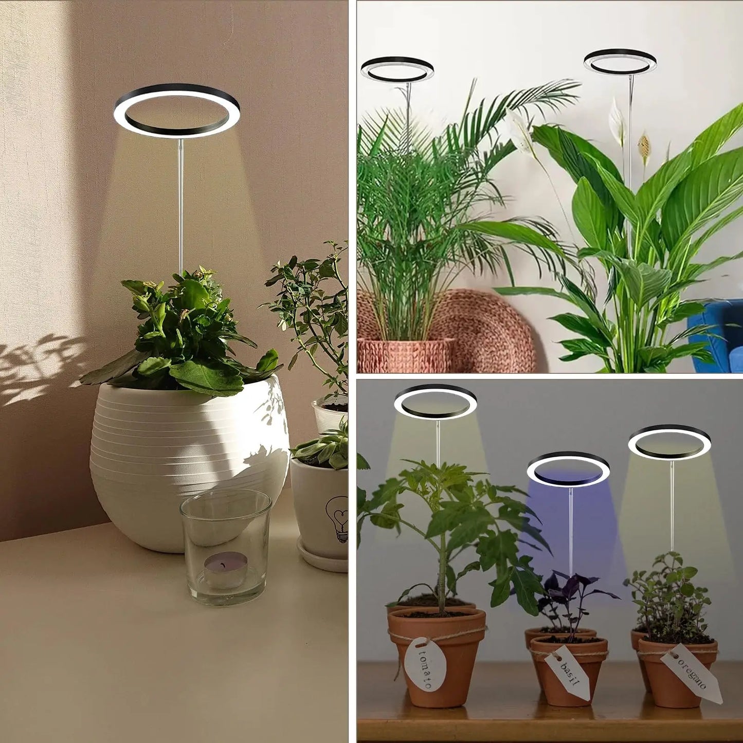 Plant grow Light, Height Adjustable with Auto On/Off Timer 3H/9H/12H, 10Dimmable Brightness, Ideal for Home Desk Plant Lighting