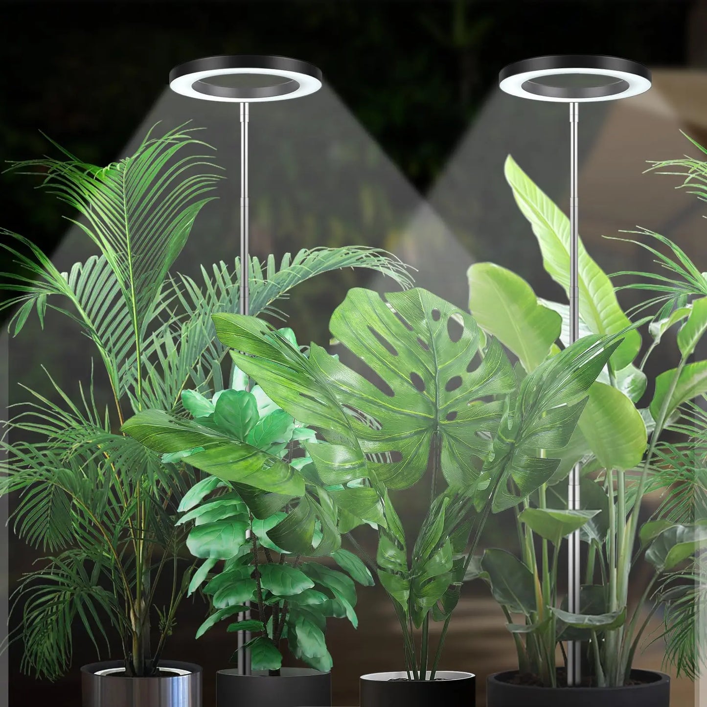 Plant grow Light, Height Adjustable with Auto On/Off Timer 3H/9H/12H, 10Dimmable Brightness, Ideal for Home Desk Plant Lighting