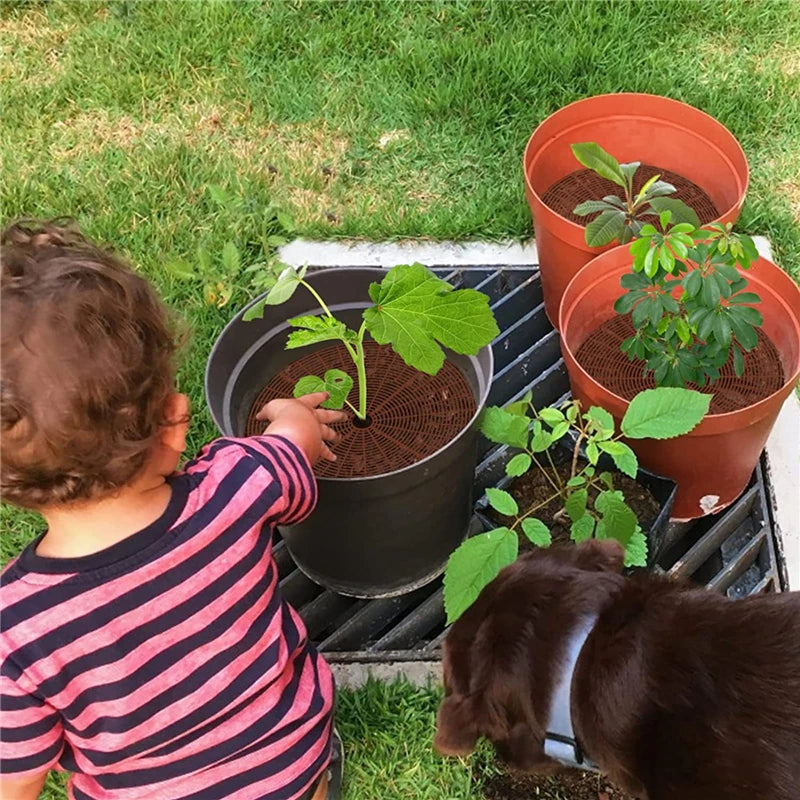 1PC Plant Pot Soil Guard With Nails Plant Pot Grid Flower Pot Cover Baby Safety Mouse Garden Home Plant Protector Repel Cats