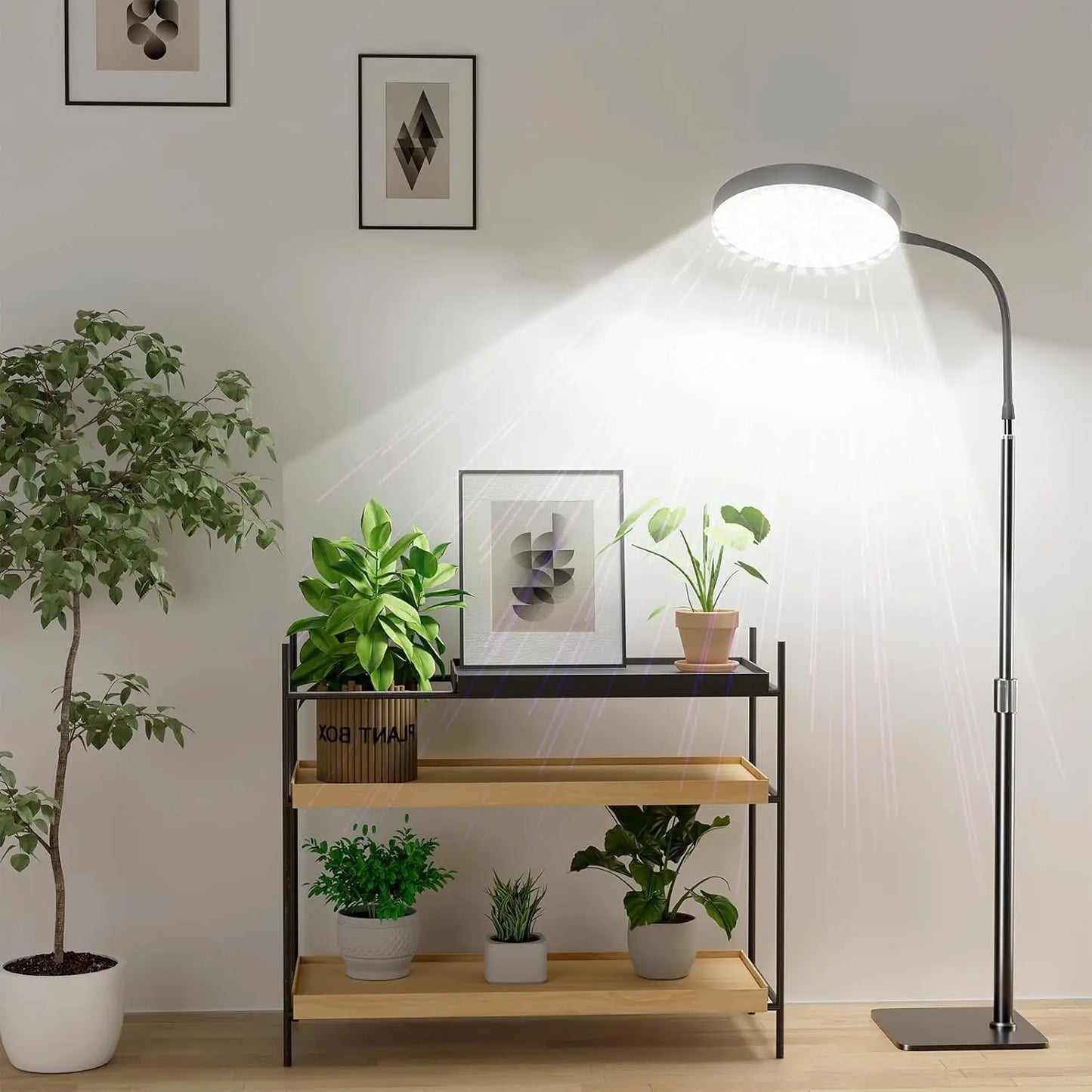 Grow Lights for Plants Full Spectrum Floor Plant Growing Lamp Large Plants Auto ON/Off Timer 5 Dimmable Levels  Adjustable Heigt