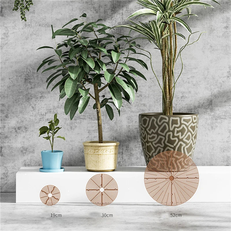 plant pot soil protectors 1PC Plant Pot Soil Guard With Nails Plant Pot Grid Flower Pot Cover Ba – Miss Mae's Moss