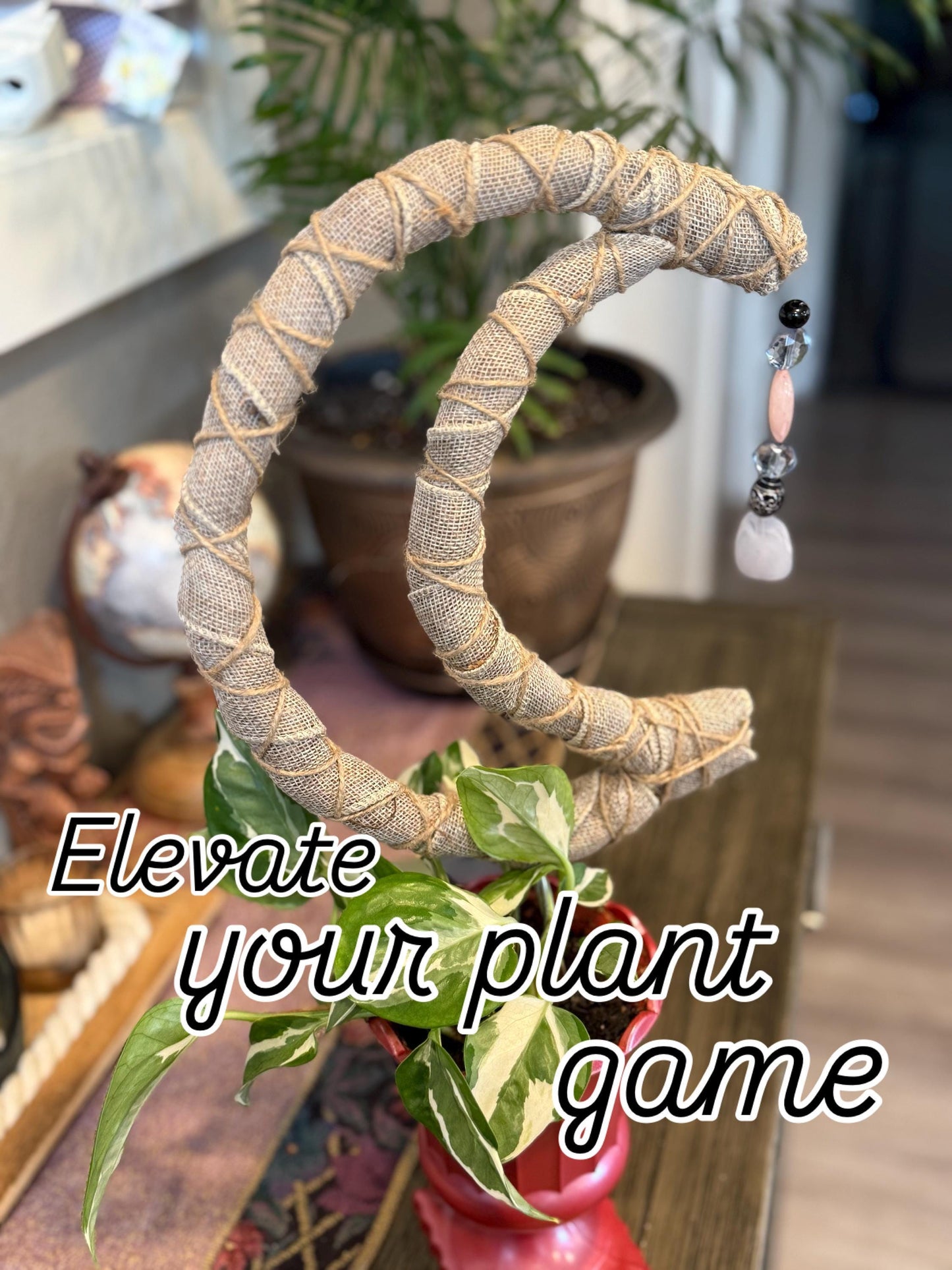 Moon Premium Sphagnum Moss Grow Pole for Indoor House Plants