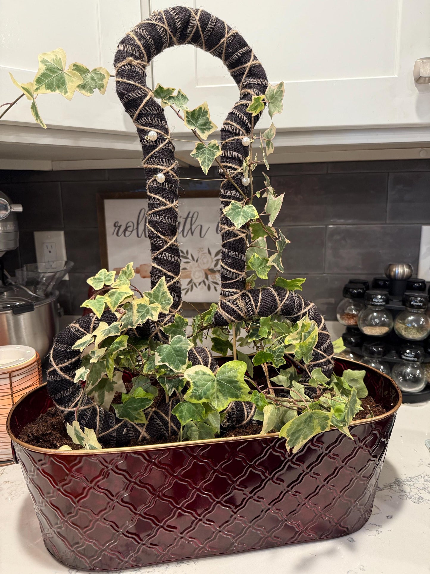 Penis Sphagnum Moss Grow Pole for Indoor House Plants