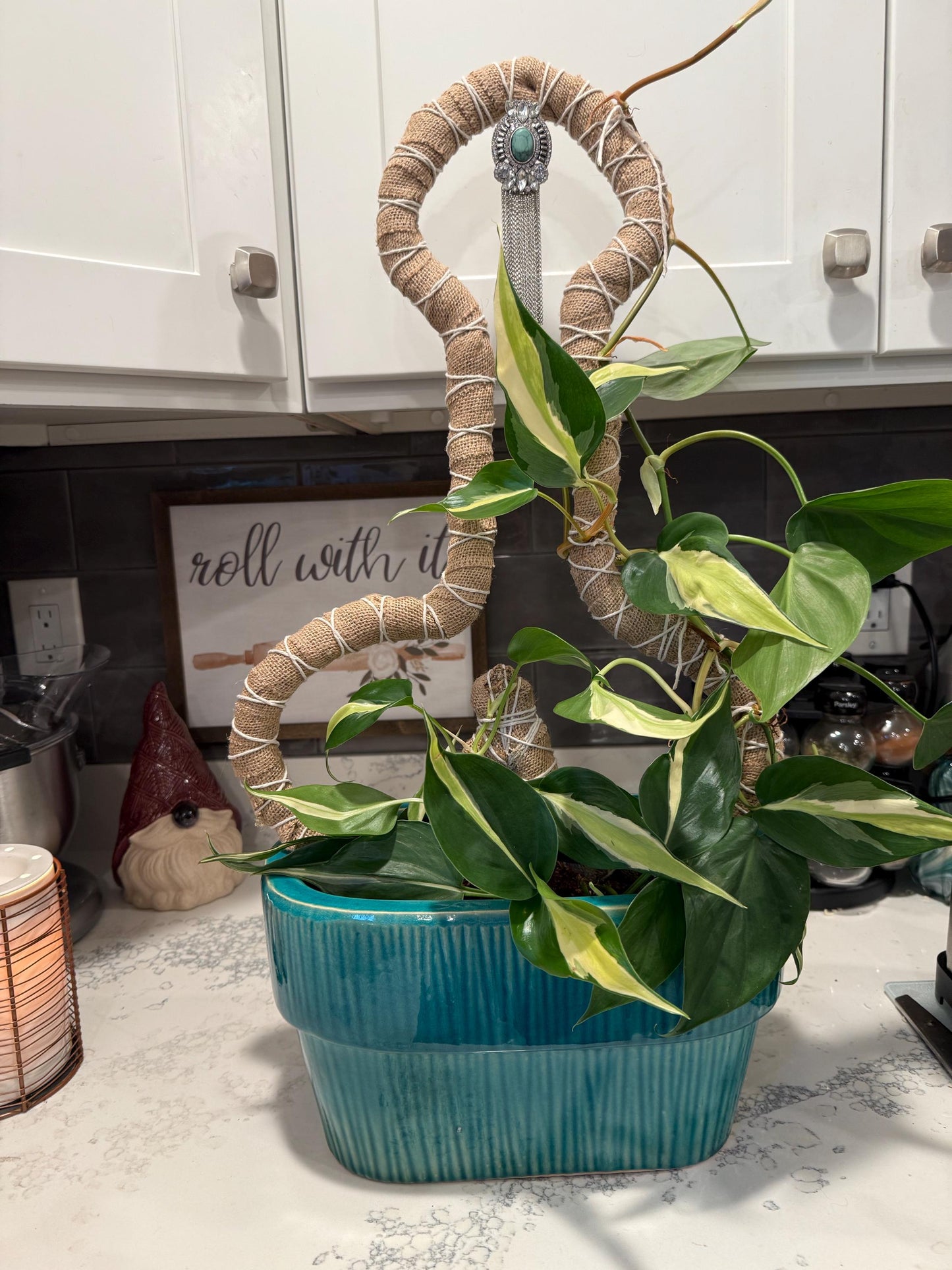 Penis Sphagnum Moss Grow Pole for Indoor House Plants