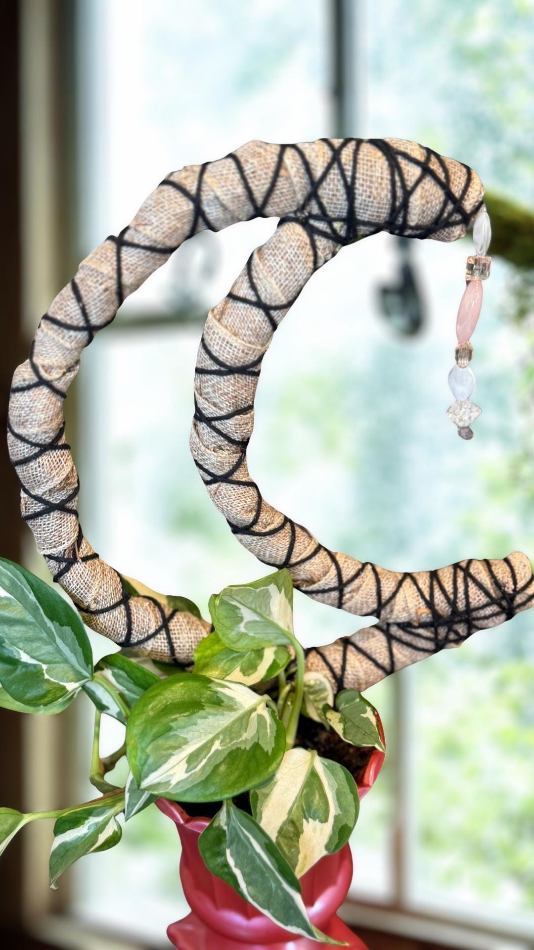 Moon Premium Sphagnum Moss Grow Pole for Indoor House Plants