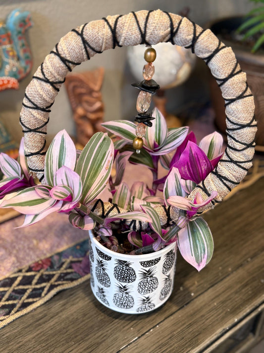 Circle Premium Sphagnum Moss Grow Pole for Indoor House Plants